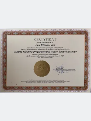 Master Practitioner NLP